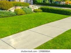 New concrete sidewalk in a neighborhood, featuring a smooth and even surface. The sidewalk is clean and well-defined, with freshly set concrete that extends alongside residential properties. The area is neatly maintained, contributing to the overall appearance of the neighborhood