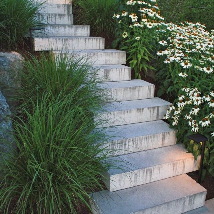Newly-installed concrete steps leading into a backyard, bordered by greenery of plants and flowers