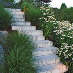 Newly installed outdoor concrete staircase leading to a backyard and surrounded by greenery and flowers